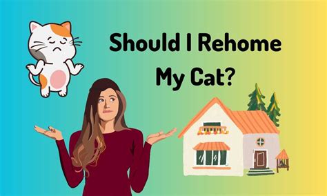Tell any perspective new owner you'll need. . Should i rehome my cat quiz